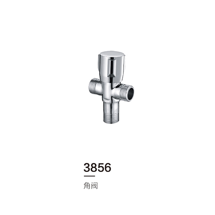 3856