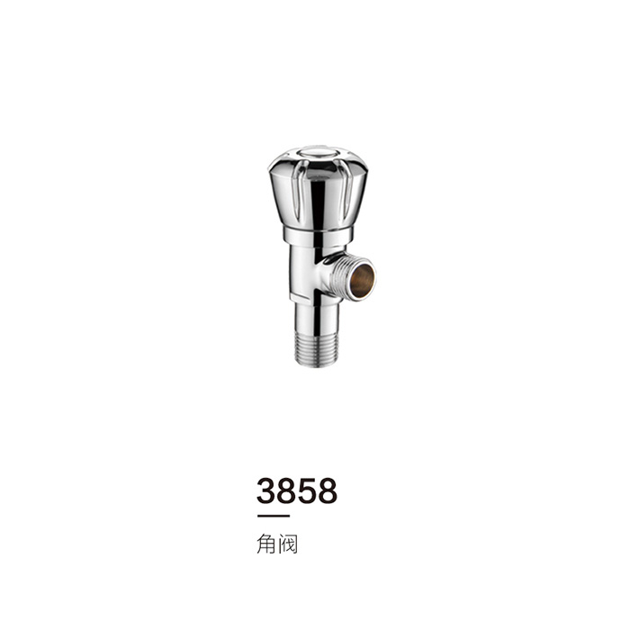 3858